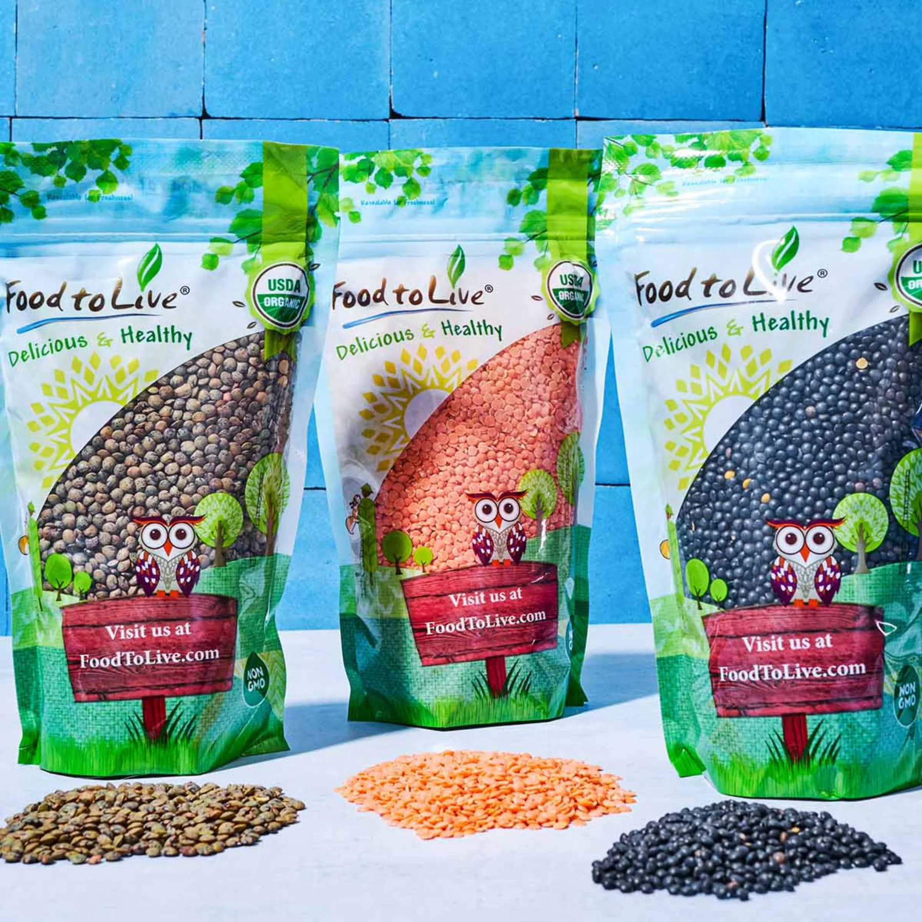 Lentils Bundle, Organic - Image 2