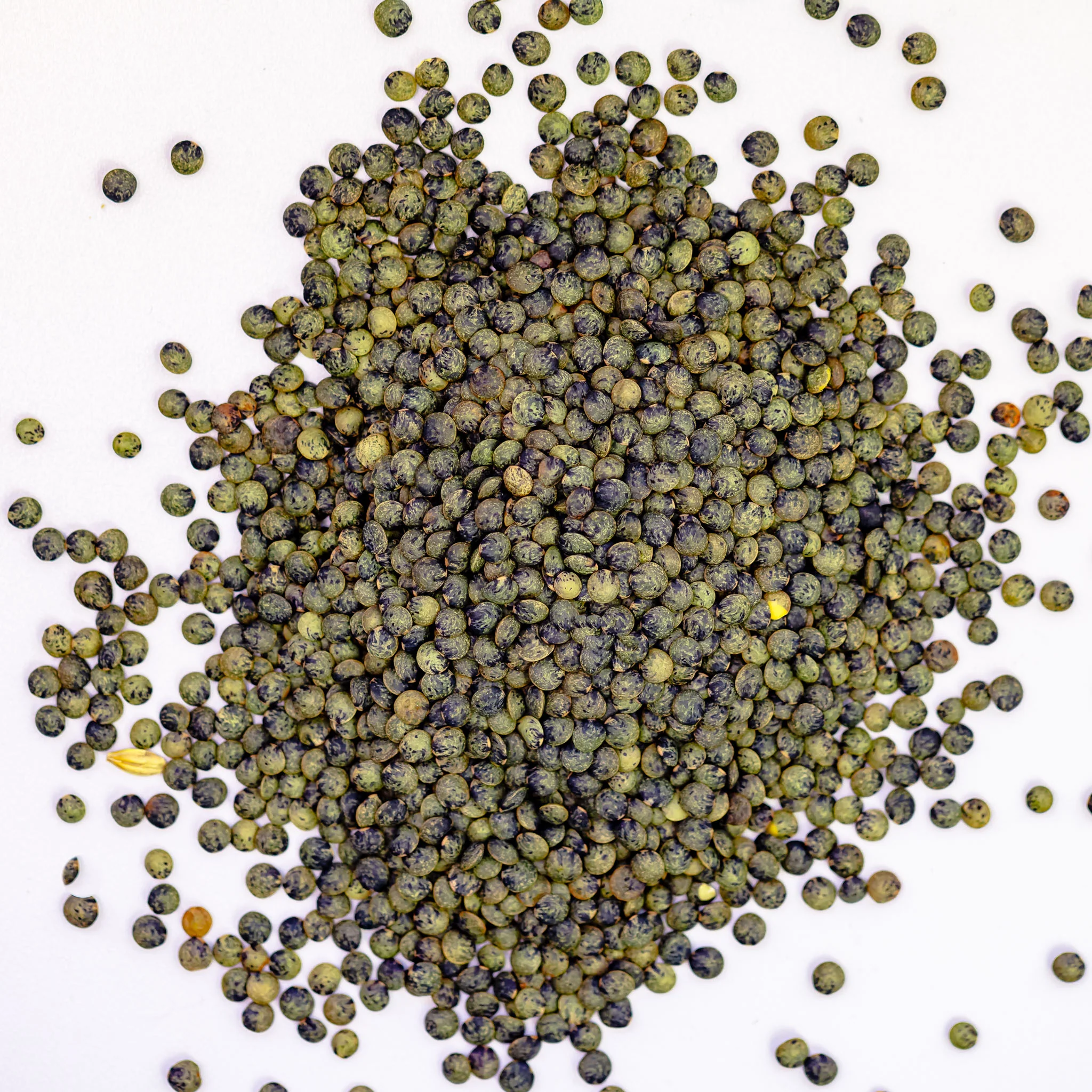 Lentils Bundle, Organic - Image 5