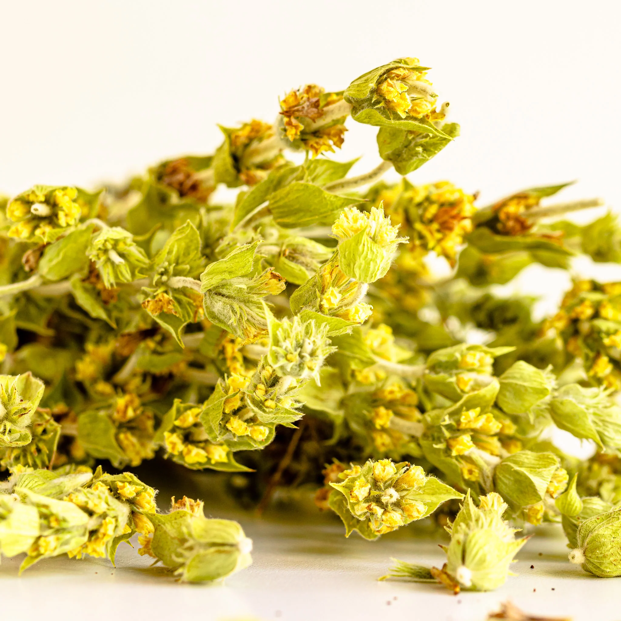 Mount Taygetos Greek Mountain Tea Bunch - Image 5